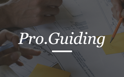 KA2 EDU.GUIDANCE: What is Pro.Guiding?